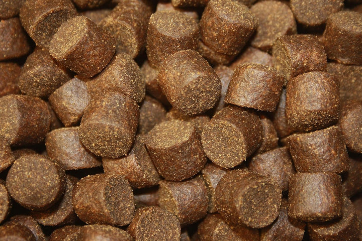 Tomodachi Störfutter extragross 10mm Störsinkfutter, Energiefutter für Störe, deutsche Top Qualität,
