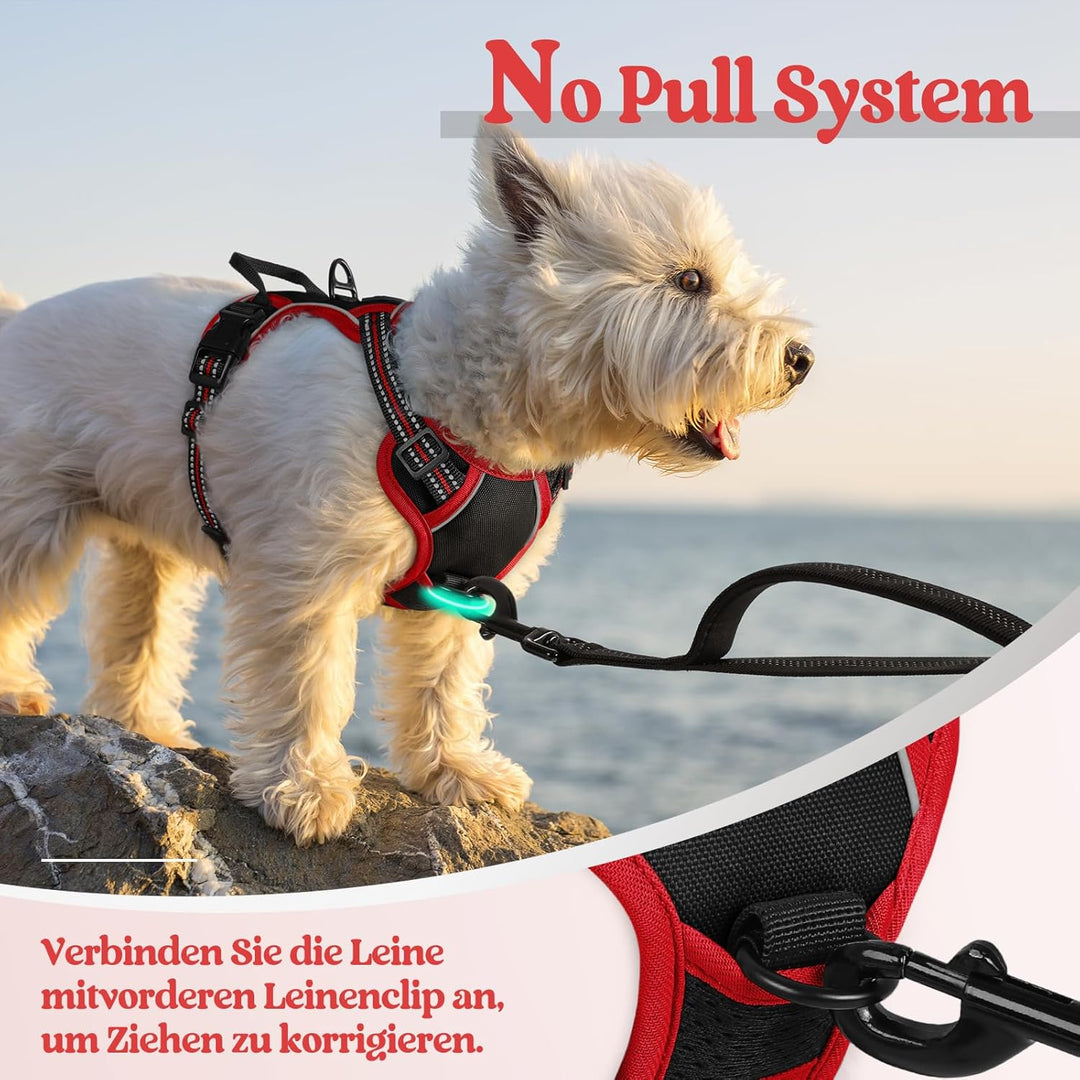 rabbitgoo Hundegeschirr Kleine Hunde, Anti Zug Geschirr mit Kontrolle, No Pull Verstellbar Hundegesc