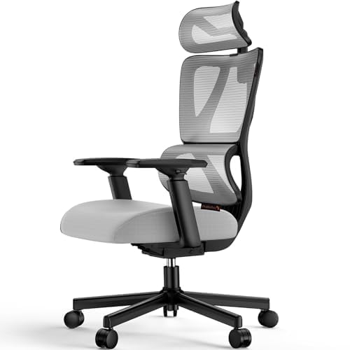 ProtoArc EC100 Ergonomischer Bürostuhl – Computer-Schreibtischstuhl mit 10 cm dickem Federkissen, Le