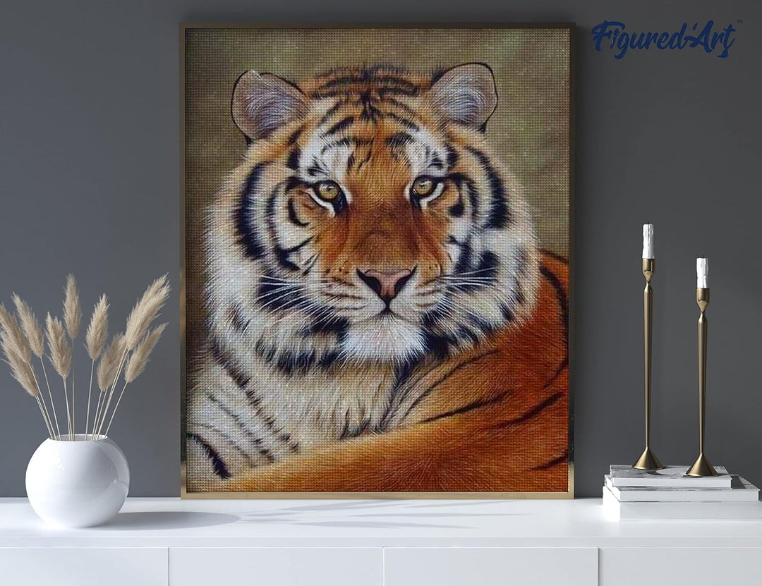 Figured'Art Diamond Painting Erwachsene 40x50cm Mit Rahmen Ganze Leinwand gespannt Tigerauge 5D Bild