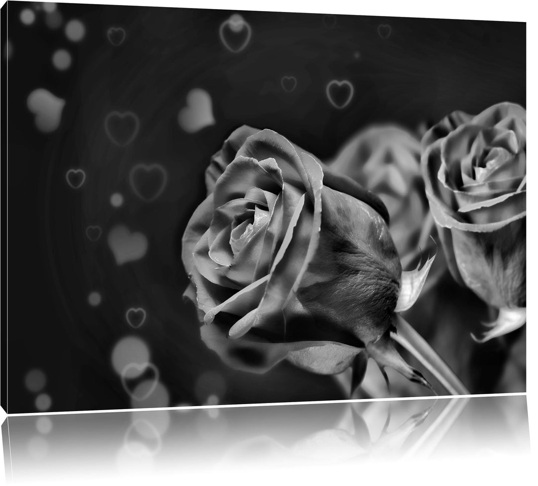 Monocrome, Rosen, Format: 100x70 auf Leinwand, XXL riesige Bilder fertig gerahmt mit Keilrahmen, Kun