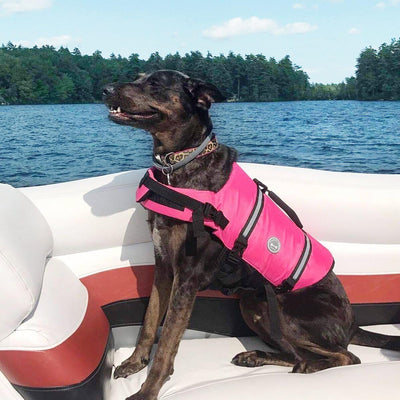 VIVAGLORY Ripstop Hunde Rettungsweste für Kleine Mittel Grosse Hunde Bootfahren, Hund Schwimmweste m