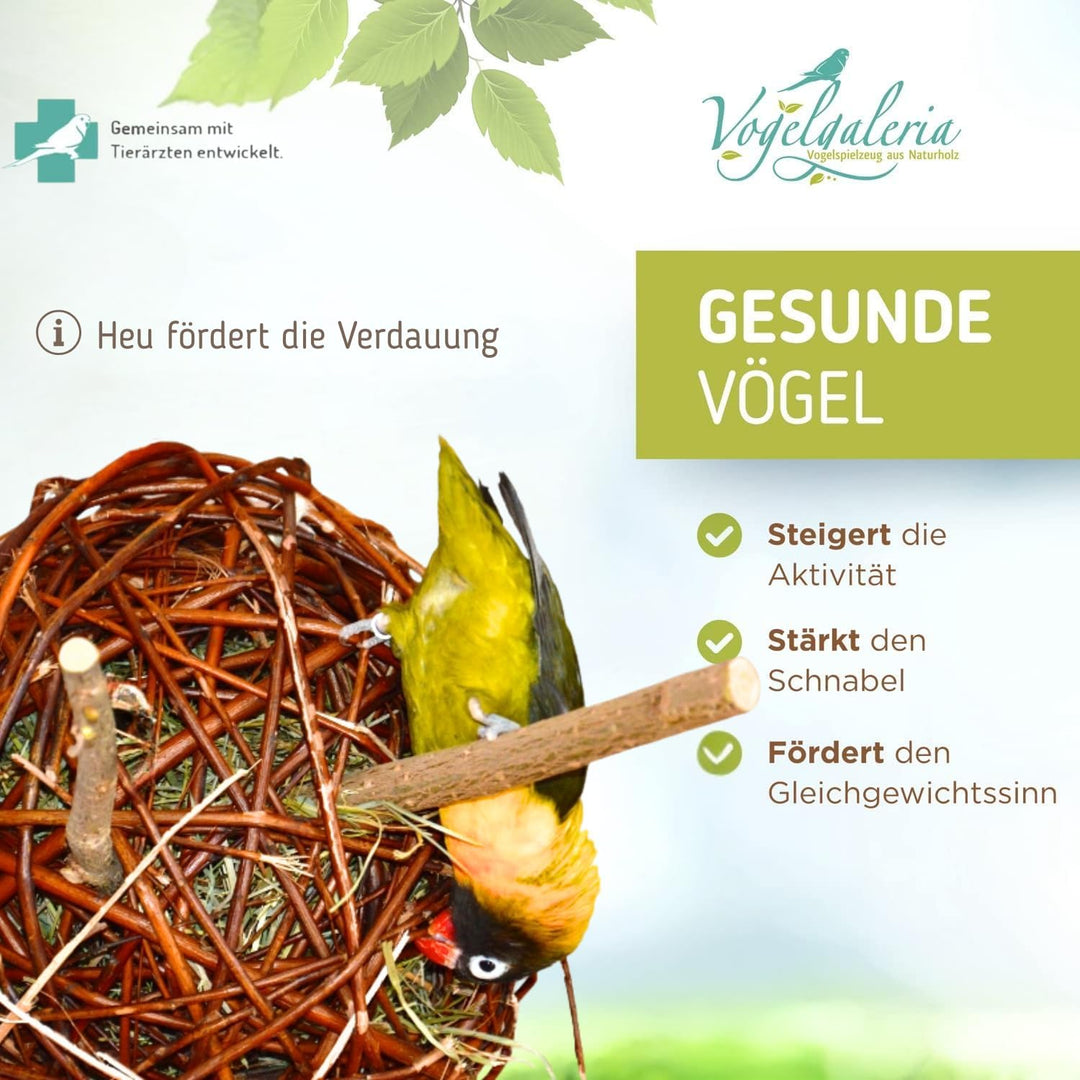Vogelgaleria® Weidenkugel 20cm gefüllt mit Heu | zum knabbern und Klettern | Natürliches Wellensitti