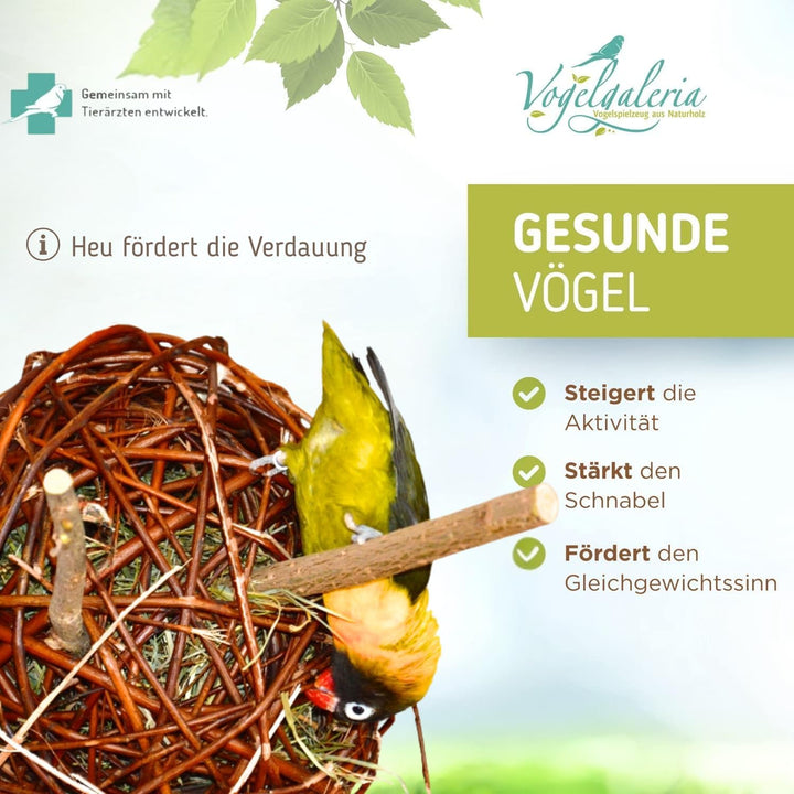 Vogelgaleria® Weidenkugel 20cm gefüllt mit Heu | zum knabbern und Klettern | Natürliches Wellensitti