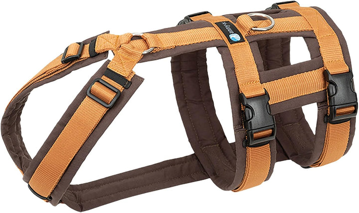 Annyx Brustgeschirr Safety Fun - Bernstein XS