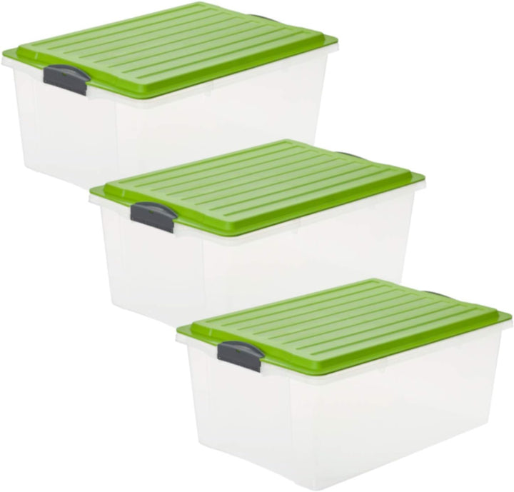 Rotho Compact 3er-Set Aufbewahrungsbox 38l mit Deckel, Kunststoff (PP) BPA-frei, transparent/grün, 3