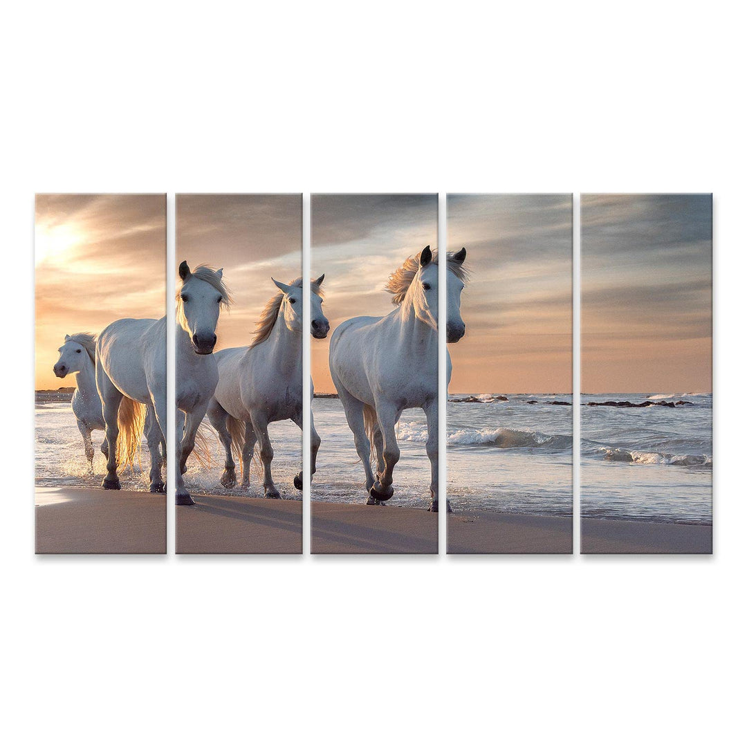 islandburner Bild auf Leinwand Weisse Pferde Camargue Frankreich Herde Bilder Wandbilder Poster Lein