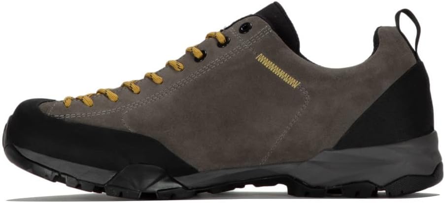 Scarpa Unisex Mojito Trail GTX Hkb Salix Traillaufschuhe 40 EU Titan, 40 EU Titan