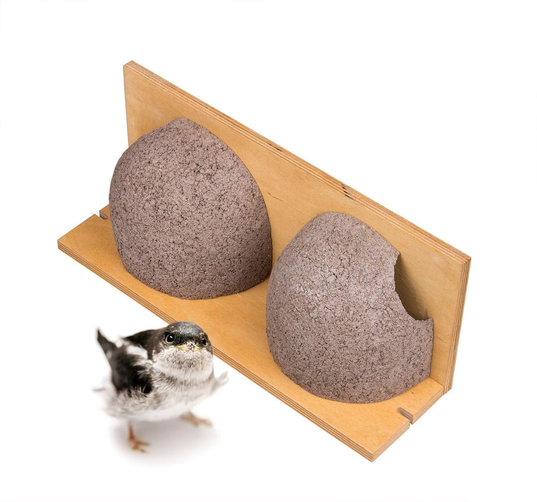 BigDean 3 Stück Schwalbennistkasten Doppelnest Schwalbennest Mehlschwalbennest Nistkasten Nisthilfe