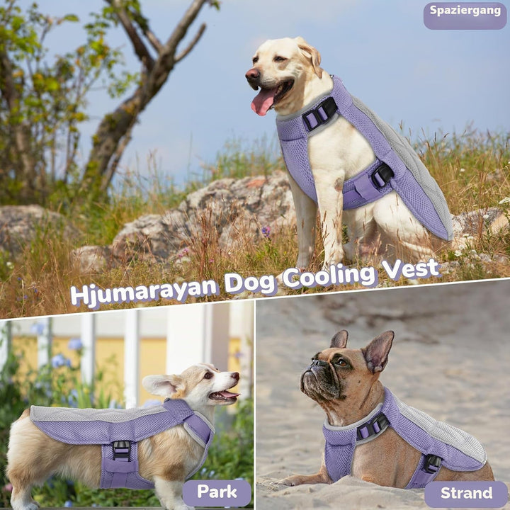 Kühlweste Hund, Sommer Kühlgeschirr für Hunde mit D-Ringe, Sonnenschutz Hund Kühlmantel, Kühlendes H