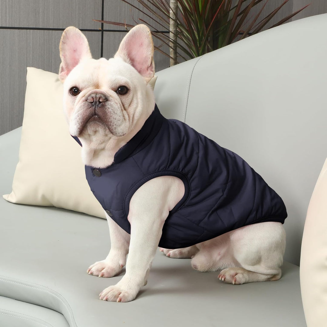 Mit Fleece gefütterte Hundejacke mit 2 Schichten von JoyDaog, sehr warm für den Winter und kaltes We