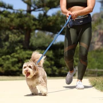 DOOG Bauchtasche in diversen Farben, Motiv:blau mit Punkten Blauer Tupfen, Blauer Tupfen