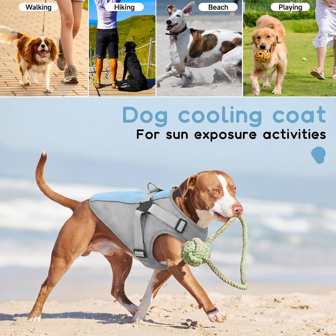Kühlweste für Hunde mit Geschirr, Kühler Jacke Dogs Cooling Vest für Outdoor Jagd Training Und Campi
