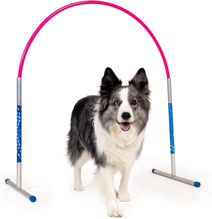 6 x Hoopers Agility Hoops - NADAC Hoopers Agility Hoops (Grosspackung) ALU Hoops (ohne Mittelstrebe)