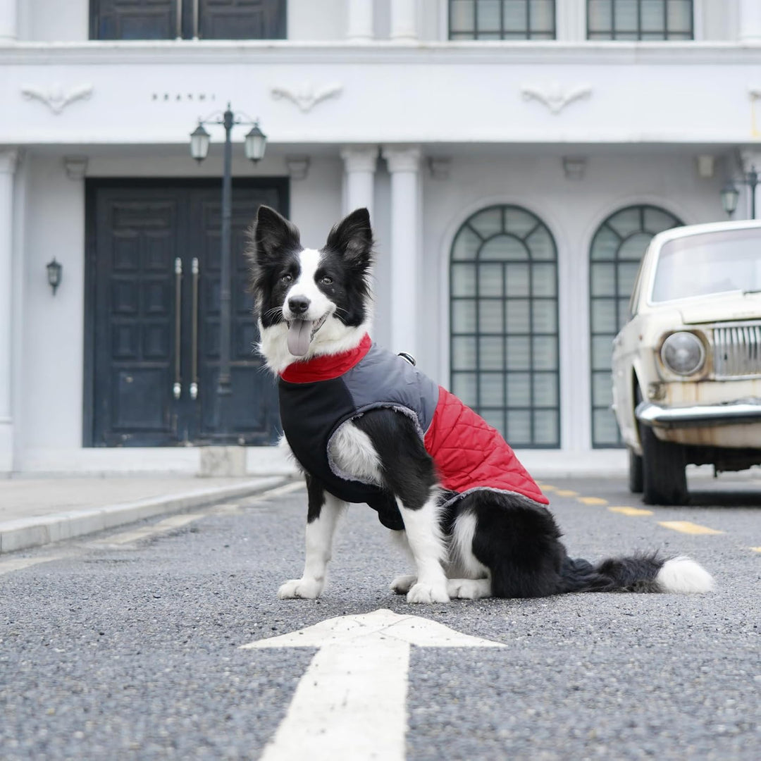 JoyDaog Warmer Fleece-Hundemantel für kleine Hunde, D-Ringe, wasserdichte Welpenjacke für den kalten
