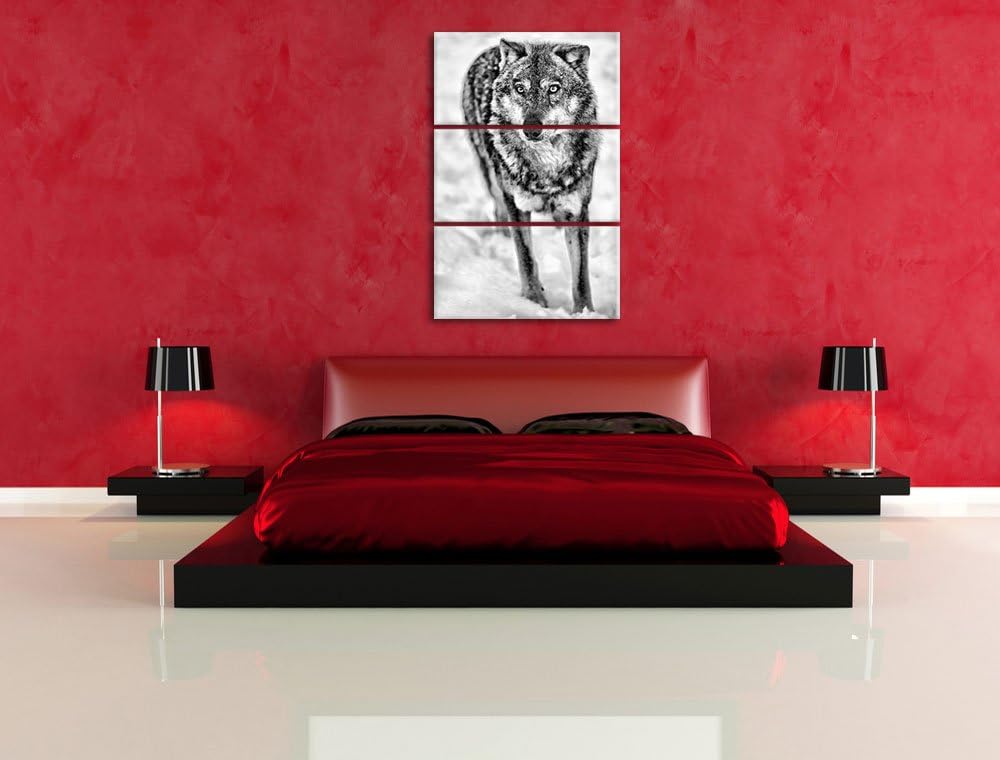 Pixxprint Monocrome, Wolf in Schneelandschaft 3-Teiler Leinwandbild 120x80 Bild auf Leinwand