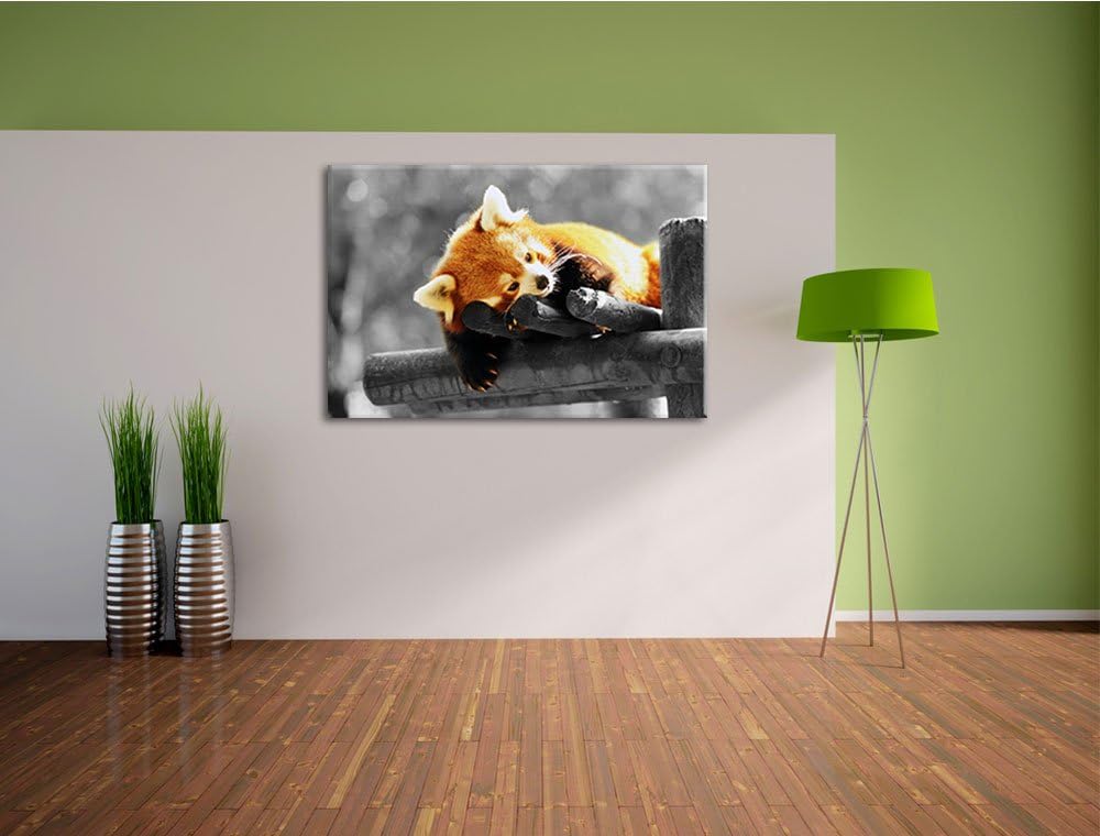 süsser Panda träumt schwarz/weiss Format: 100x70 auf Leinwand, XXL riesige Bilder fertig gerahmt mit