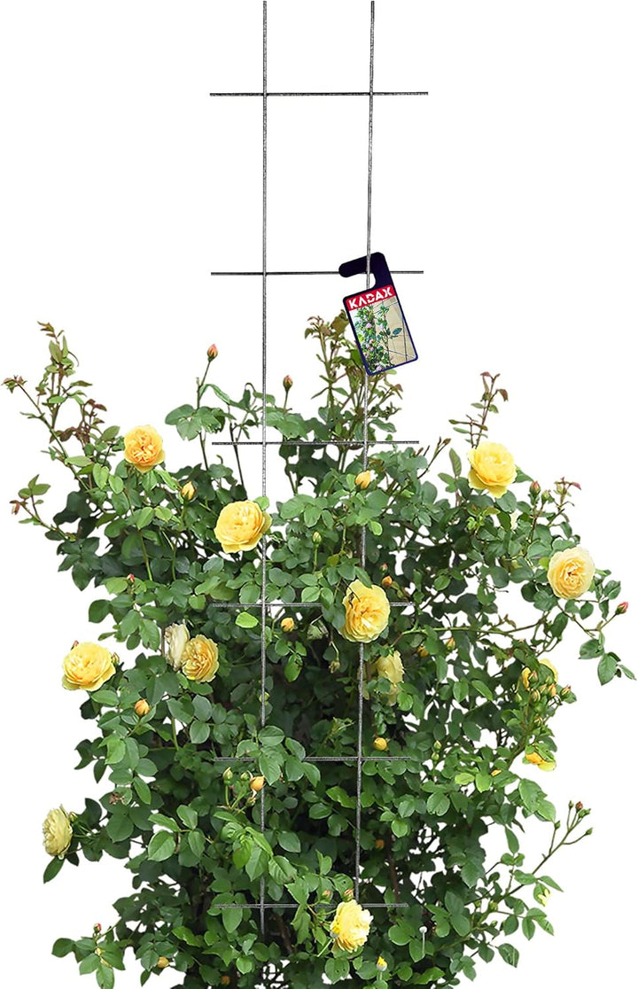 KADAX Rankgitter, Gitterspalier für Garten, Pflanzen, Balkon, Terrasse, Metall Spalier, Rankhilfe, K