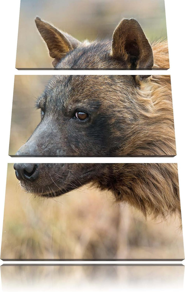 Pixxprint anmutige Hyäne im Wildgras als Leinwandbild/Grösse: 3 Teilig (120x80) cm/Wandbild/Kunstdru