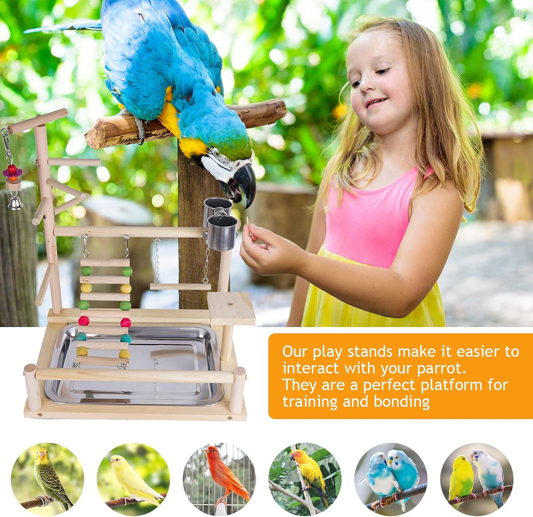 RoseFlower Vogelspielplatz Papageien Spielplatz, Naturholz Vogel Spielständer mit Feeder Cups Leiter