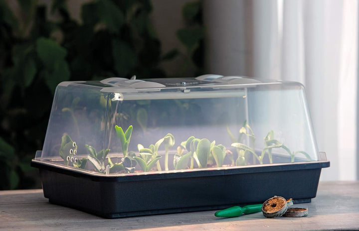 Romberg Indoor Greenhouse Lumio M LED (Zimmergewächshaus) mit integrierter LED-Pflanzenbeleuchtung,