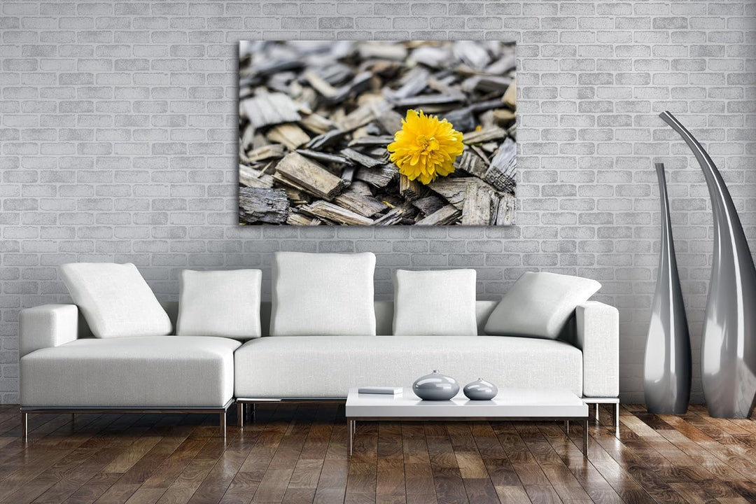 deyoli gelbe Blume auf Holz im Format: 80x60 als Leinwandbild, Motiv fertig gerahmt auf Echtholzrahm
