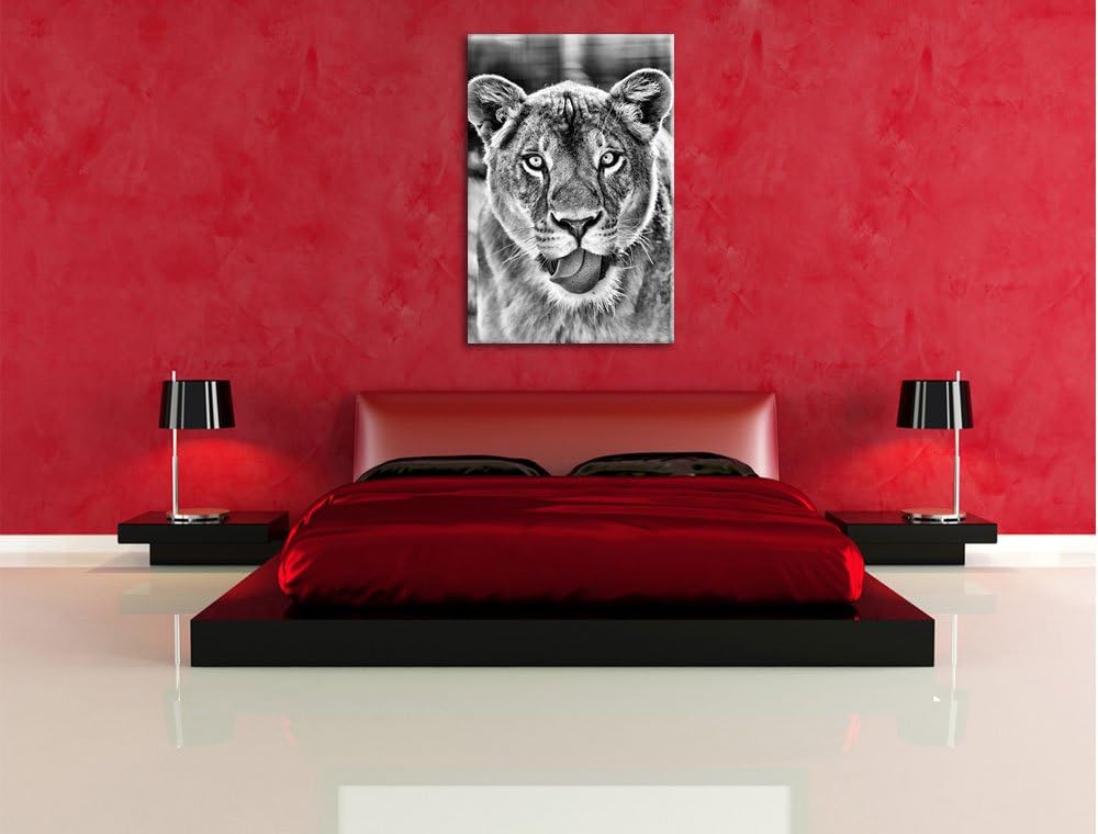 Monocrome, schöne Löwin , Format: 100x70 auf Leinwand, XXL riesige Bilder fertig gerahmt mit Keilrah