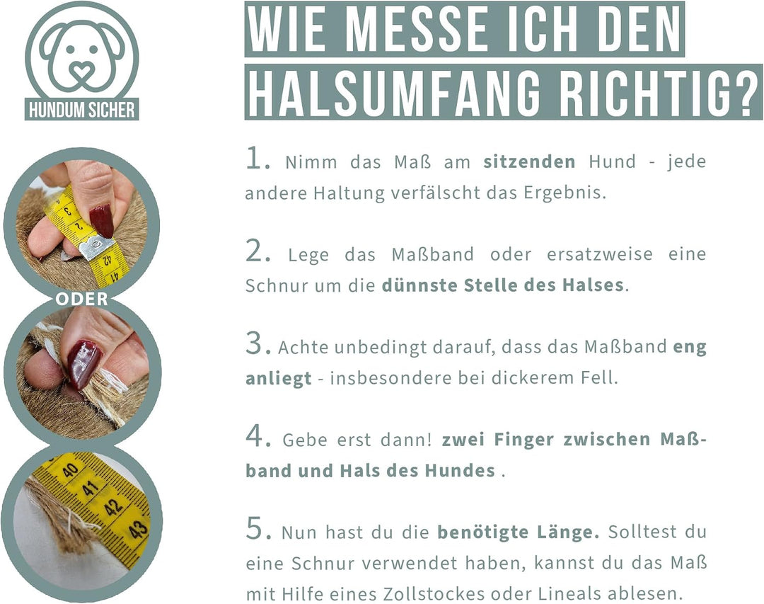 Diebstahlschutz-Hundeleine, Abschliessbar mit Schloss, Mehrfach verstellbar, Geflochten aus Paracord