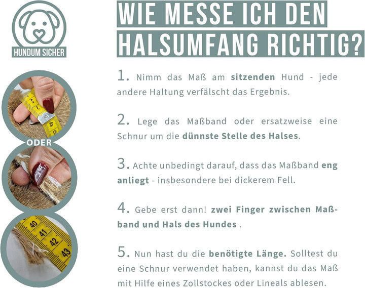 Diebstahlschutz-Hundeleine, Abschliessbar mit Schloss, Mehrfach verstellbar, Geflochten aus Paracord