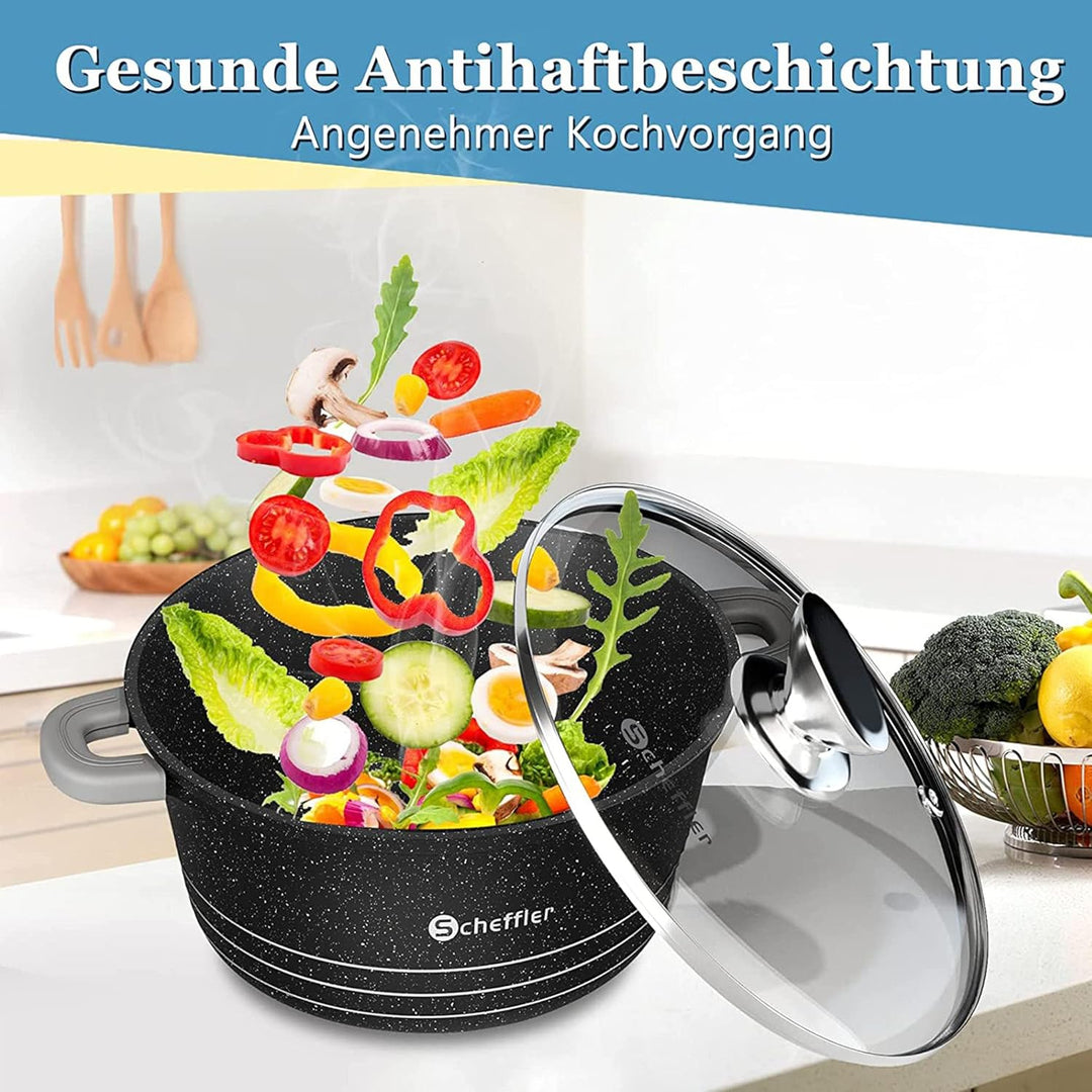 Scheffler Topfset mit Glasdeckel Kochtopf Set Induktions Töpfe Set, 2.2L/24cm,4L/28cm,6L,Töpfe Set,