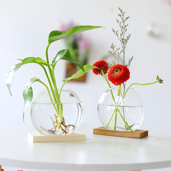 Tischplatte hängen Glas Pflanzer Pcs von 2 Vermehrungsstation Moderne Blumenknospe Vase in Holz Steh