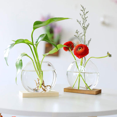 Tischplatte hängen Glas Pflanzer Pcs von 2 Vermehrungsstation Moderne Blumenknospe Vase in Holz Steh