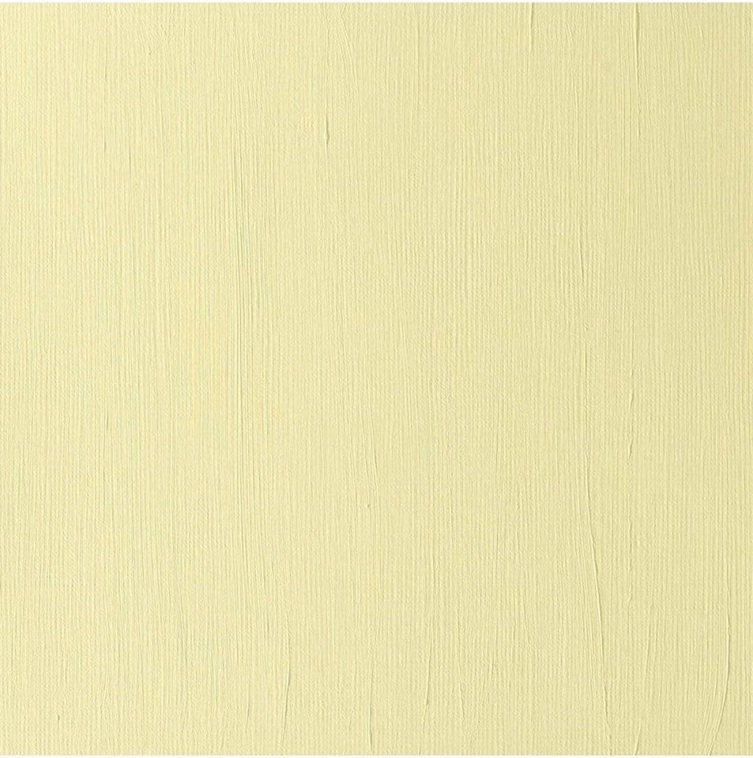 Winsor & Newton 2337346 Professional Acrylfarbe in Künstlerqualität, hohe Farbbrillanz & Deckkraft,
