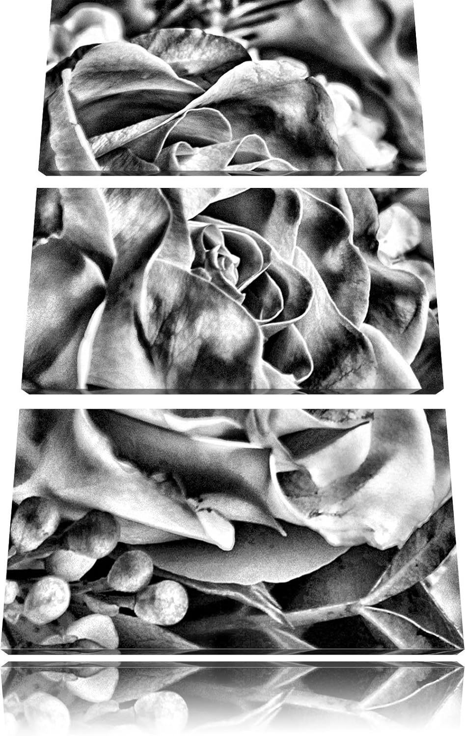 Pixxprint Rosa Rose als Leinwandbild/Grösse: 3 Teilig (120x80) cm/Wandbild/Kunstdruck/fertig bespann