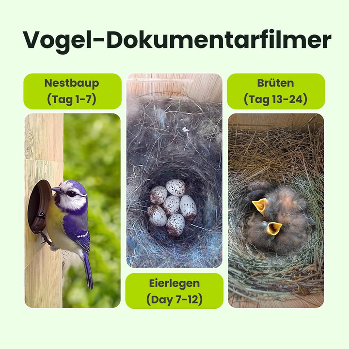 Birdfy Smart Vogelhaus mit Doppelkamera für Live Vogelbeobachtung, 1080P Bambus Nistkasten mit Kamer