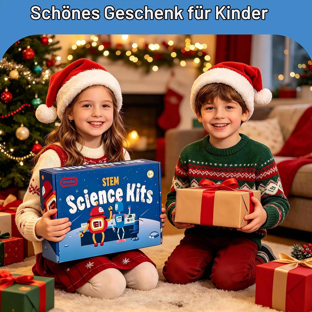 Sitodier 6 individuelle Mint-Experimentiersets für Kinder, Experimentierset aus Holz, Mint-Spielzeug