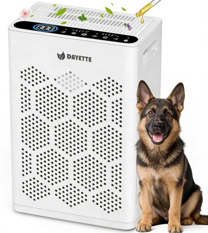 Luftreiniger für Allergiker, mit H14 HEPA Filtern & Waschbarem Vorfilter, CADR 250 m³/h, 3-stufiges