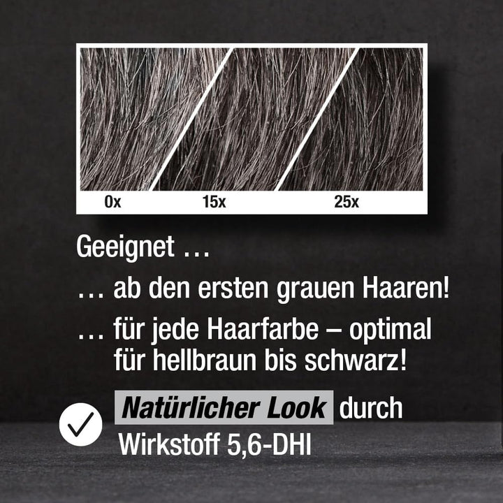 Alpecin Grey Attack Coffein & Color Shampoo, 2 x 200 ml - Graduelle Haarverdunkelung - Natürliches F
