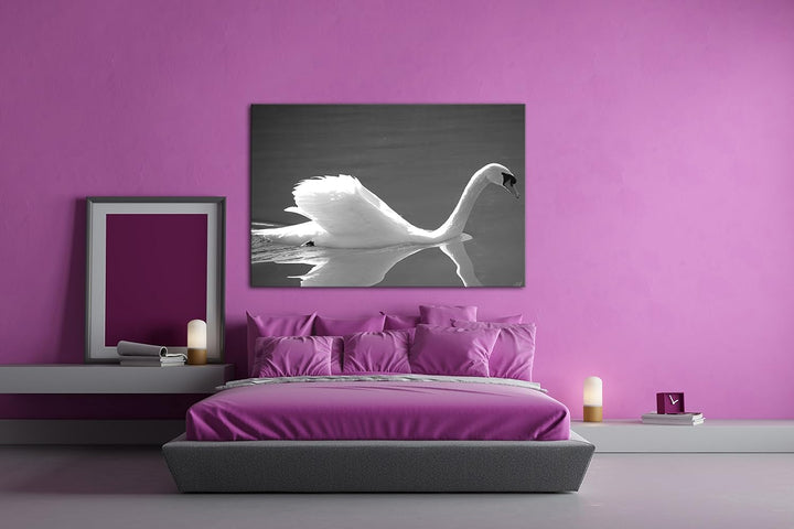 deyoli entzückender Schwan Effekt: Schwarz/Weiss Format: 80x60 als Leinwandbild, Motiv fertig gerahm