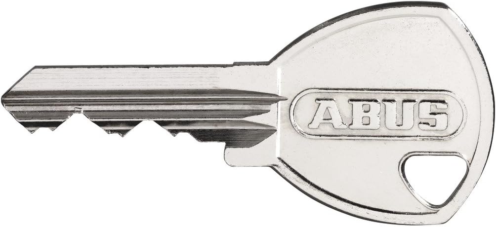 ABUS Vorhängeschloss 45/20 aus Messing - 2er Set - für Spinde, Werkzeugkisten, Koffer - 11819 - ABUS