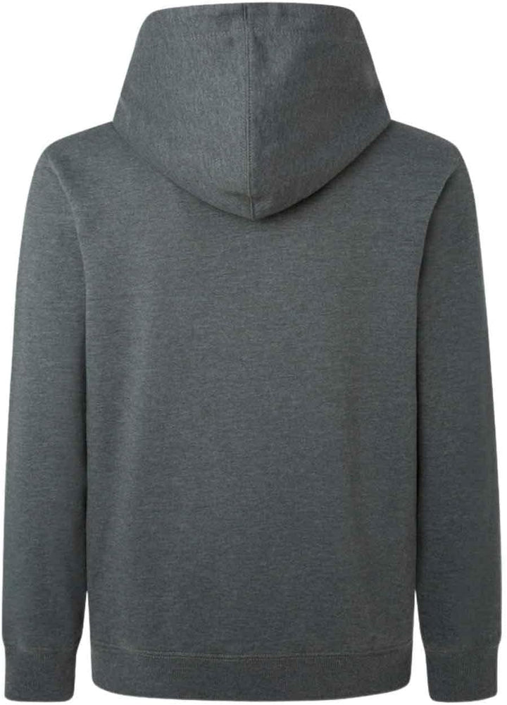 Pepe Jeans Herren Nouvel Hoodie Kapuzenpullover M Grün (Regent Green), M Grün (Regent Green)