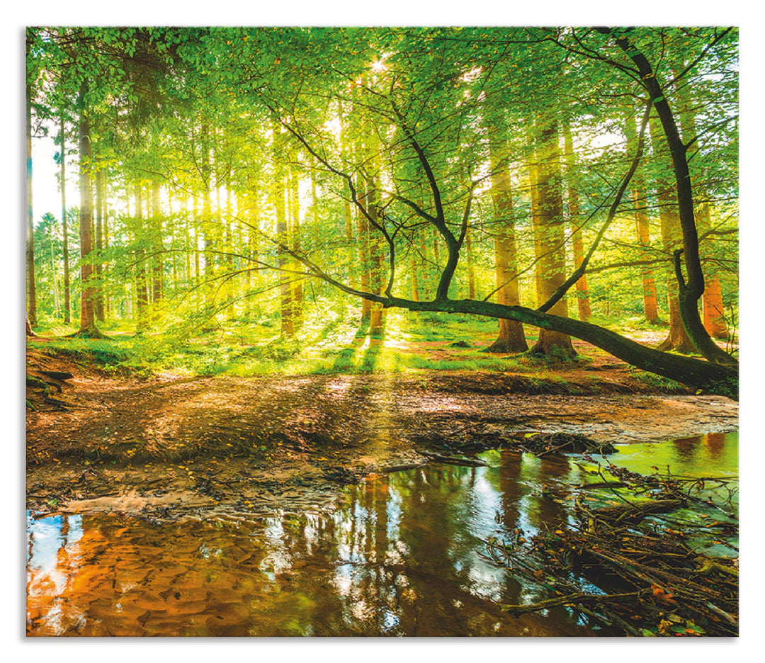ARTland Spritzschutz Küche aus Alu für Herd Spüle 60x70 cm (BxH) Küchenrückwand mit Motiv Natur Land