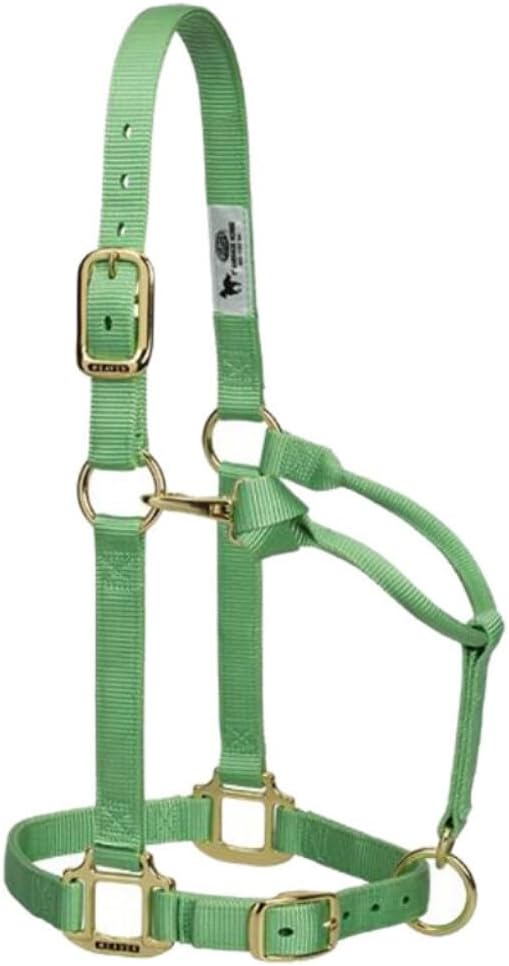Weaver Leather Original verstellbares Nylonhalfter für Pferde Suckling hunter green, Suckling hunter