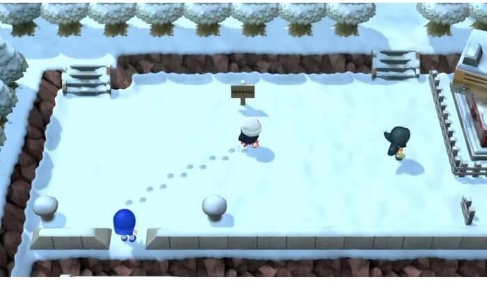 NINTENDO FRANCE SARL Pokemon, Diamant, Verzierung, Swi V