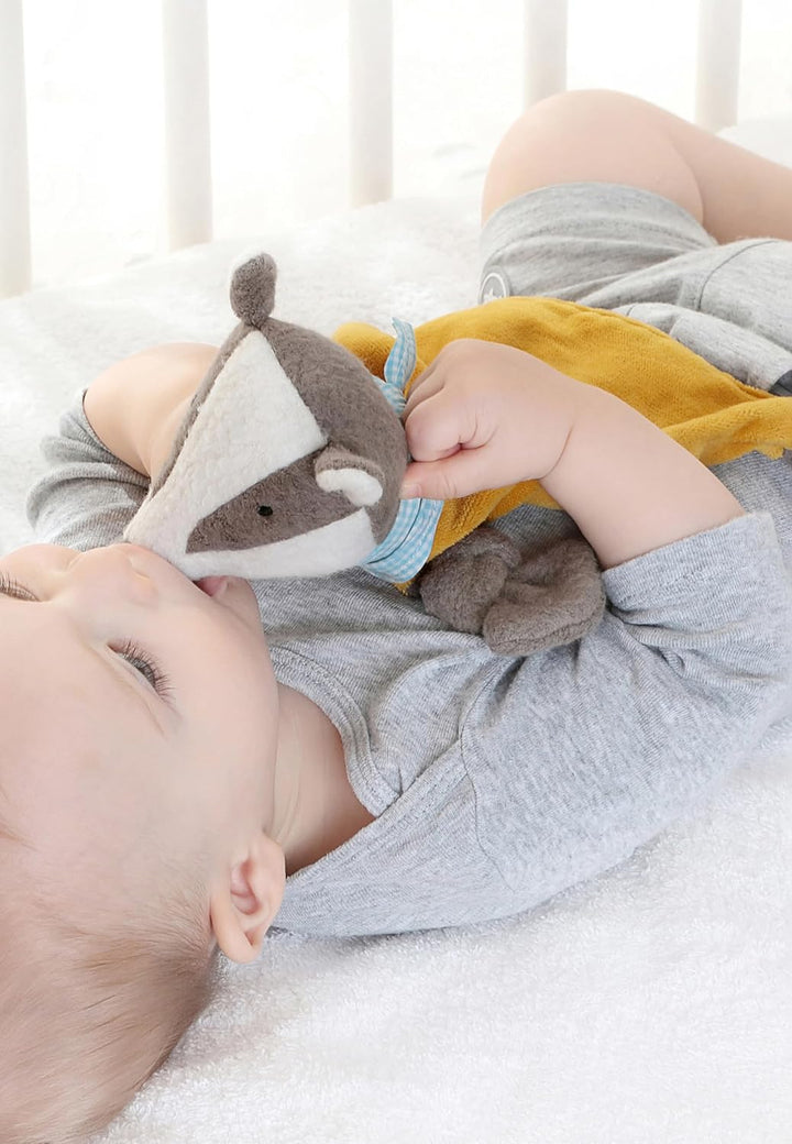 SIGIKID 39173 Schnuffeltuch Kasimir Dachs Green Mädchen und Jungen Babyspielzeug empfohlen ab Geburt