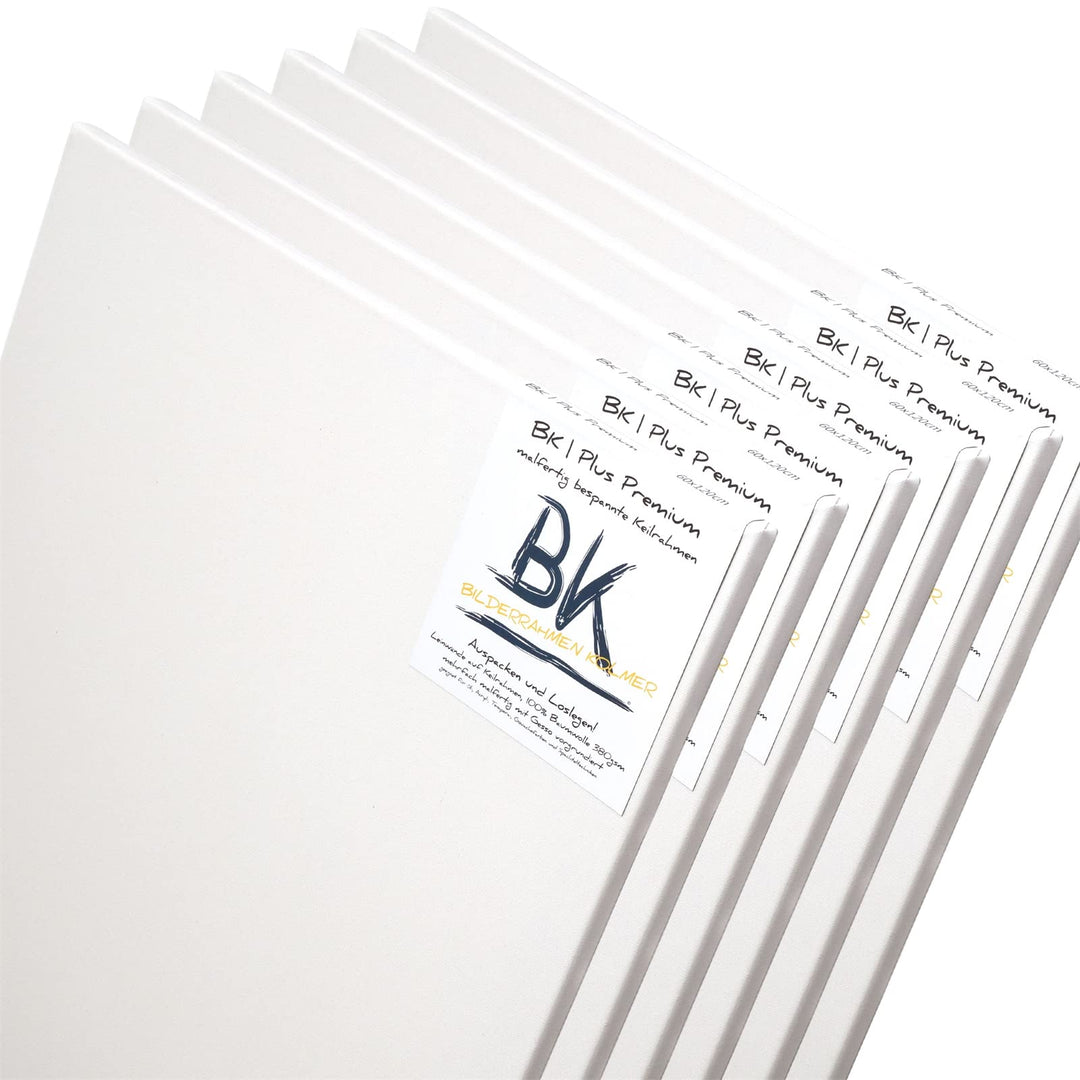 BK BILDERRAHMEN KOLMER 6 B.K. Basic LEINWÄNDE AUF KEILRAHMEN 80x100 cm | Premium Malgrund, malfertig
