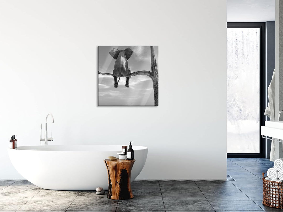 Pixxprint Glasbild | Wandbild auf Echtglas | Elefant auf einem Ast in der Wüste | 50x50 cm | inkl. A