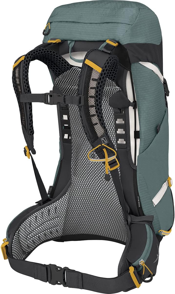 Osprey Sirrus 26 Women's Ventilated Hiking Pack Succulent Green, Succulent Green