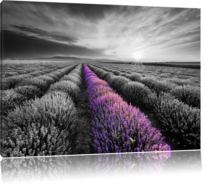 Lavendelfeld in der Provence schwarz/weiss Format: 100x70 auf Leinwand, XXL riesige Bilder fertig ge
