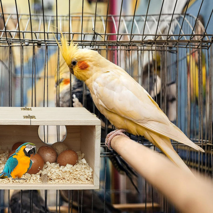 Wellensittich Nistkasten, Loch Links Vogelzucht Vogelhaus aus Holz, Transparentes Design Vogel zucht